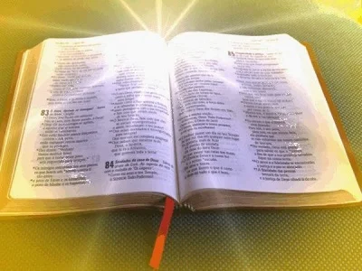 Predestinación en la Biblia (Biblia abierta iluminada)