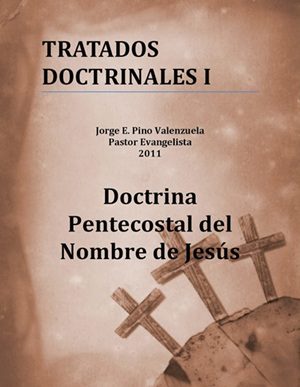 Libros de Jorge Eduardo Pino Valenzuela: Tratados Doctrinales I