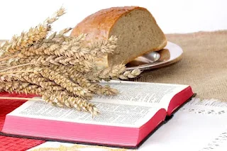 No solo de pan vivirá el hombre, sino de toda palabra que sale de la boca de Dios, Mateo 4:4
