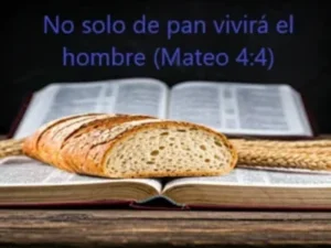 Reflexión no solo de pan vivirá el hombre