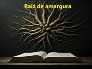 Reflexión sobre la raíz de amargura
