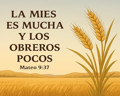 La mies es mucha y los obreros pocos Mateo 9:37